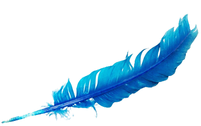 フリーバ株式会社｜自由に生きる力を